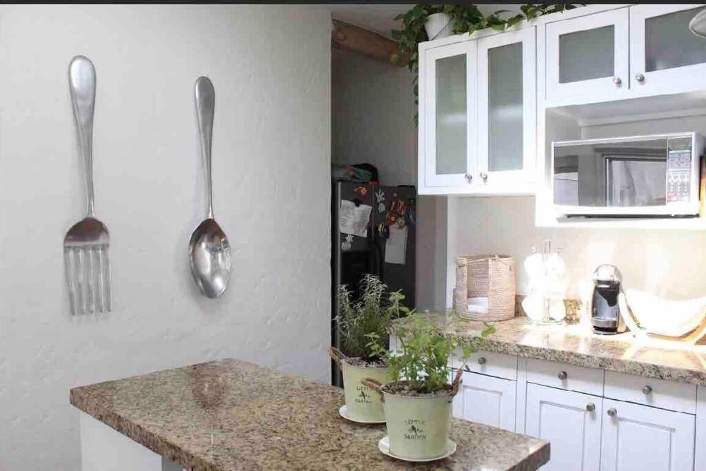 Casa Parais.Espectacular Residencia,Super Equipada Cuernavaca Dış mekan fotoğraf